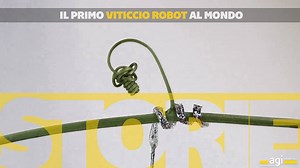 6K views · 24 reactions | In Italia è nato il primo robot rampicante che si ispira al comportamento di un vitigno. #Storieinsessantasecondi a cura di Next New Media | Agi | Facebook