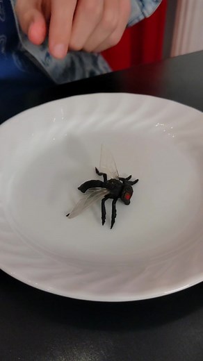 jesseandmike on TikTok