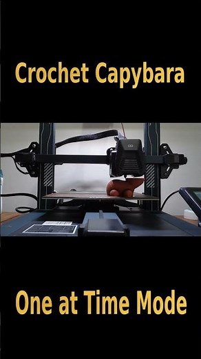 3D Printing Two Crochet Capybaras — One at a Time Mode Timelapse