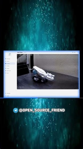 Локальное видеонаблюдение VibeNVR