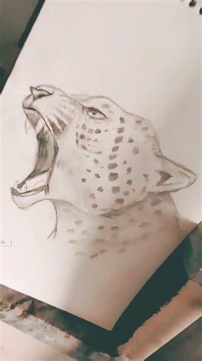 leopard 🐆 scetch. wanna more nice drawings like this hit likeeee