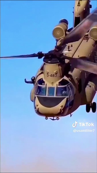 Understanding the Role of the US Military Services