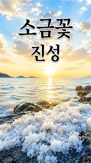 🎵 소금꽃 - 진성 「塩の花」 - チンソン Salt Flower - Jinseong