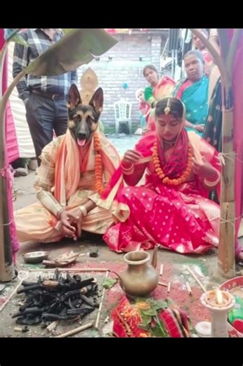 #viral #lifeisbutadream #whowillbemylifepartnerta #duet #funny