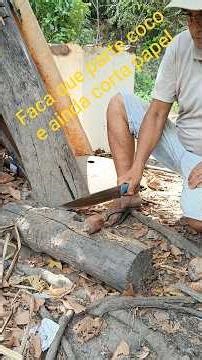 faca que corta papel após partir coco babaçu #cutelarianacional