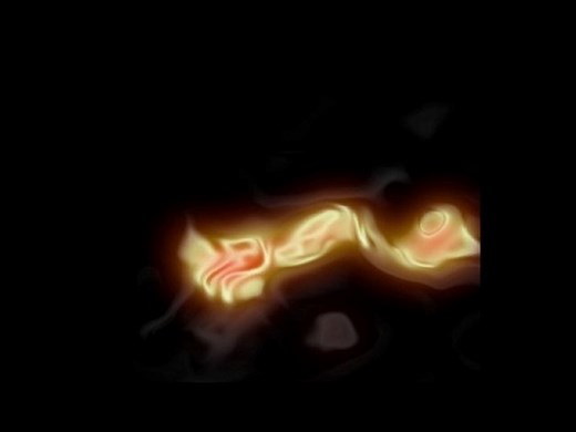 Tuto: Comment installer un plugin Wordpress