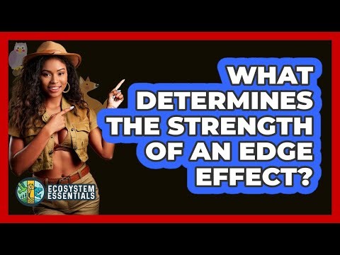 What Determines the Strength of an Edge Effect?
