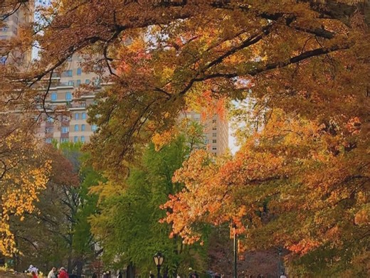 Emily James on Reels