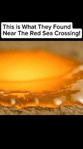 55K views · 996 reactions | This is what they found near the Red Sea crossing! # #EduTok #genesis #redsea | History Feed | Facebook