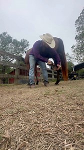 45K views · 3.1K reactions | In the danger zone | Shirtless Jake's Homestead | Facebook