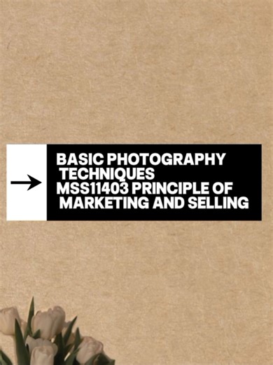 Basic Photography Tips for Beginners