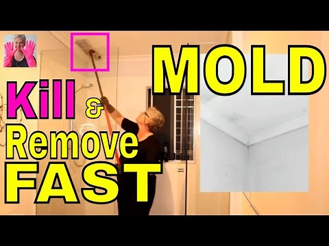 Use Clove Oil & Vinegar to EASILY Remove Mold From Walls & Ceiling -- No Bleach & No Ladders