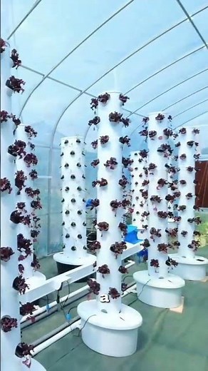 Revolutionize Your Farming with Our Tower System! #hydroponicsystem