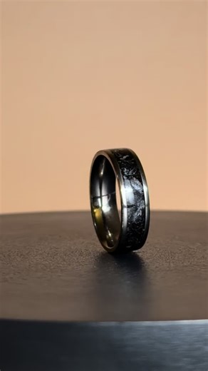 Timeless Titanium Ring Inspired by Diplodocus Fossil