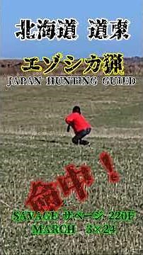 【狩猟】北海道道東にて女性ハンターエゾシカをゲット！ #狩猟 #ハンティング #エゾシカ猟 #ジビエ料理 #北海道 #巻狩 #標茶町 #鶴居村