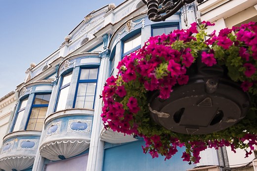 What is a bow window? A guide to styles, costs and benefits