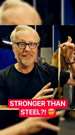 Is Spider Silk Really Stronger Than Steel?🤯