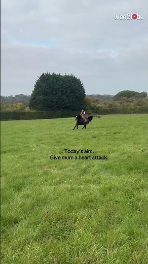 Horse Riding Fails: Little Girl's Pony Adventure Takes a Turn || WooGlobe