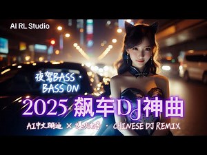 2025 飙车重低音DJ神曲🔥《夜驾Bass · BASS ON》嗨翻全场！| 中文蹦迪串烧 | 夜店洗脑神曲 | 爆火EDM派对合辑 | Chinese DJ Remix