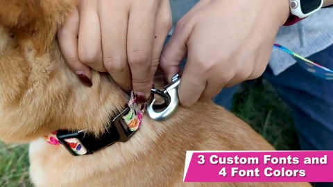 Personalized Floral Dog Collar with Name and Phone Number | Durable Metal Buckle | Cute Flower Girl Boy Dog Collar | Adjustable for Large Medium and Small Dogs