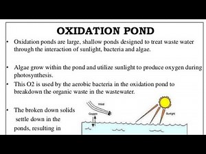 oxidation pond UASP oxidation pond paper 2 important concept #bpscasstpub & wmo