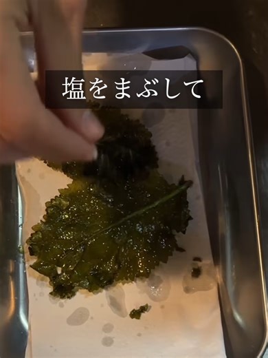 山菜採り 河川敷の雑草7種で定食を作る カラシナ、タンポポ、ノゲシ、ヨモギ、アブラナ、キツネアザミ、ヤハズエンドウ #08