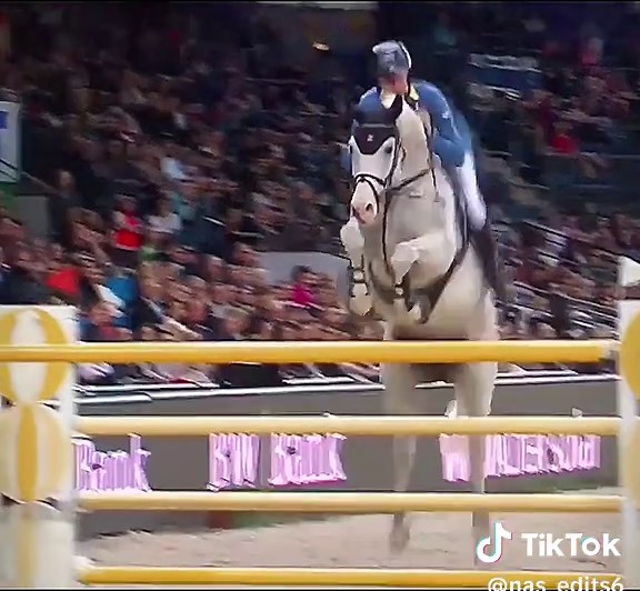 Showjumping Highlights: Colorit Z Performance