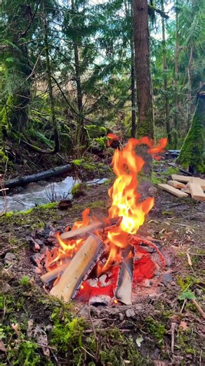 Stream & Fire Serenity | “The Perfect Calm”