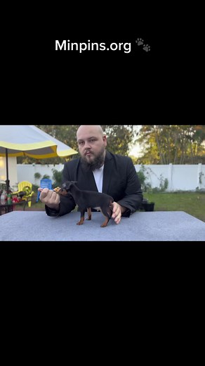 Pinchies Kennel on TikTok