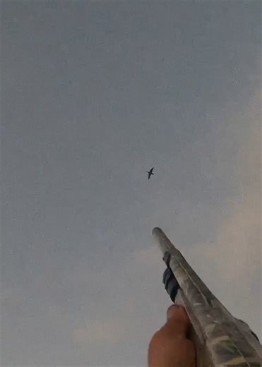 I love folding fast flying ducks ! #duckhunting #waterfowl #hunting #duck