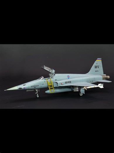 F-5E Aggressor Model from 904 SQDN