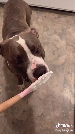 Unexpected Cake Sploshing Surprise!