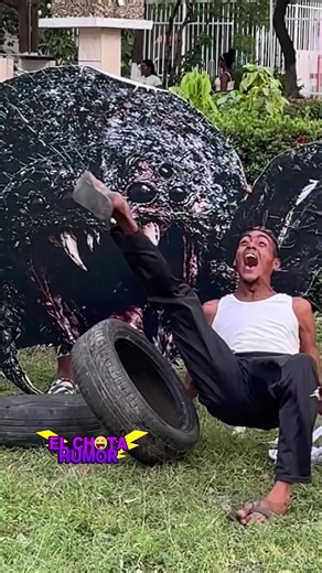 Hilarious Videos That Make You Laugh a Lot