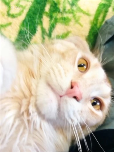 DJ SORROW on TikTok
