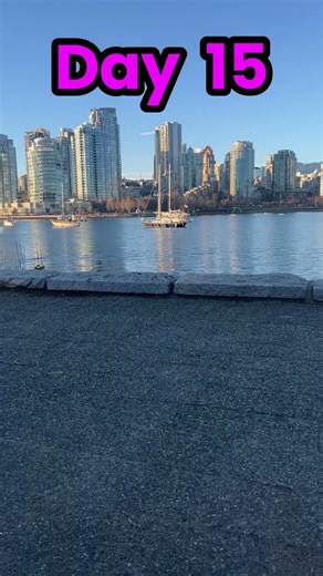 Day 15