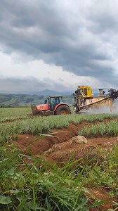Ganito pala ang pag spray ng mga sakahan ng Pinya sa Bukidnon😮 #mremm | MrEmm
