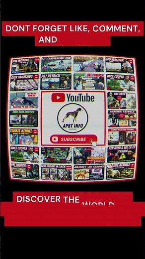 The Truth About Mayfield’s Tombstone & Bullyson - APBT History & Gamedog Legacy!