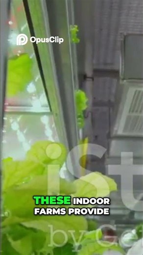 Arctic Farming: Fresh Greens Thrive in Extreme Climates!