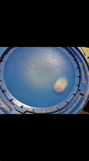 luinor#fyp #beyblade