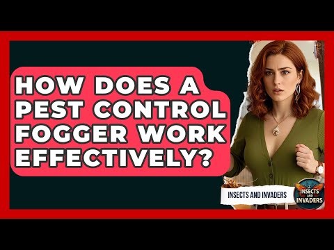 How Does A Pest Control Fogger Work Effectively? - Insects and Invaders