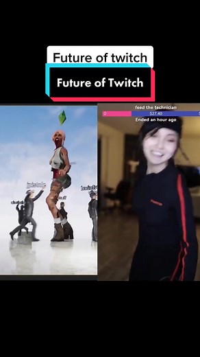 Dealing with Misbehaving Chat: a Twitch Streamer's Punishment