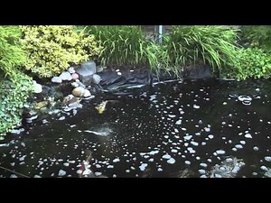 Bio Teichfilter CBF 350 c