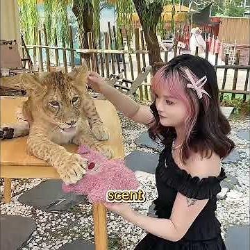 After a woman visited the zoo, her cats at home started avoiding her.
