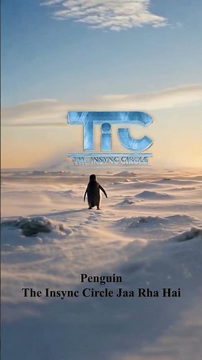 From Lost to InSync 🐧 | How Brands Find Their Voice with TIC #theinsynccircle