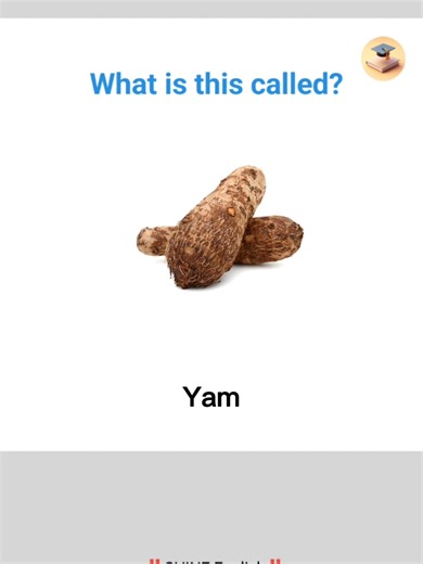 Essential English Vocabulary for Effective Learning