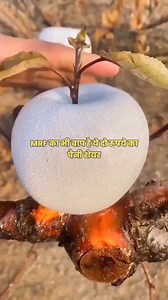 864K views · 3.9K reactions | stock market trading earning tips and free share market tips on Reels | Facebook