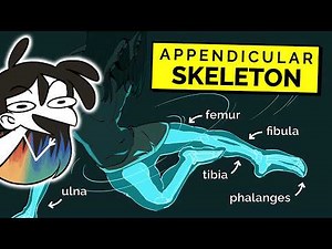 The Bone Structure EVERY Artist NEEDS to Know! | How to Draw Skeleton and Bones