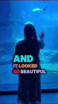 Things to do in Durban : Visit UShaka Marine World #travel #thingstodo #durban