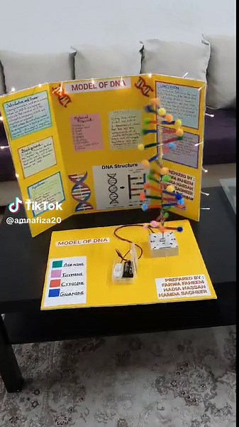 DNA working model #tiktok #viralvideo #how to make model dna #dnamodel #models #workingmodelscrolling