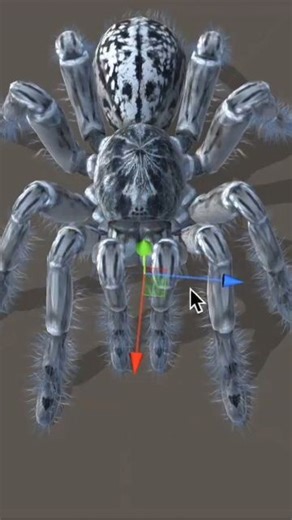 Character Rigging | Animation | CGi on Instagram: "3D tarantula rig with physics-based animations in Unity, created by Boycraf19492179 (Twitter) ---- Follow us @rigging.pro Our Rigging Course @riginmaya #rigpro #characterrigging #3drig #3drigger #3drigging #rigging3d #creaturerig #characteranimation #3danimation #3dmodeling #3d #cgi #character #3dcharacter #autodesk #maya3d #autodeskmaya #cinema4d #c4d #3dsmax #houdinifx #vfx #Zbrush #blender3d #b3d #gamedev #unity3d"